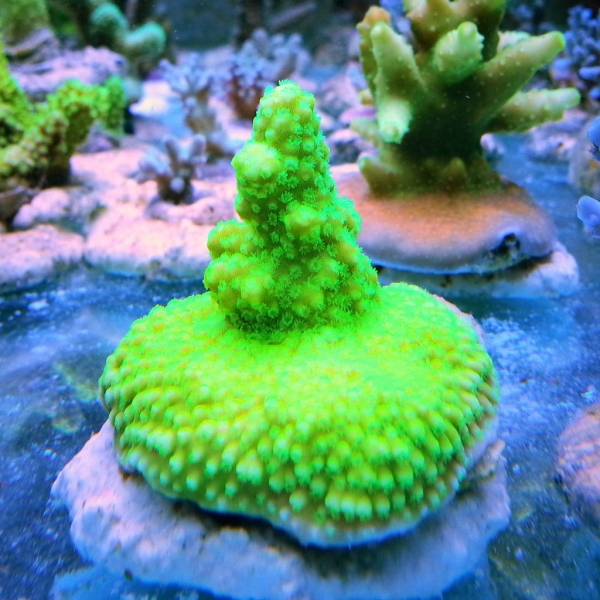 Image00008
