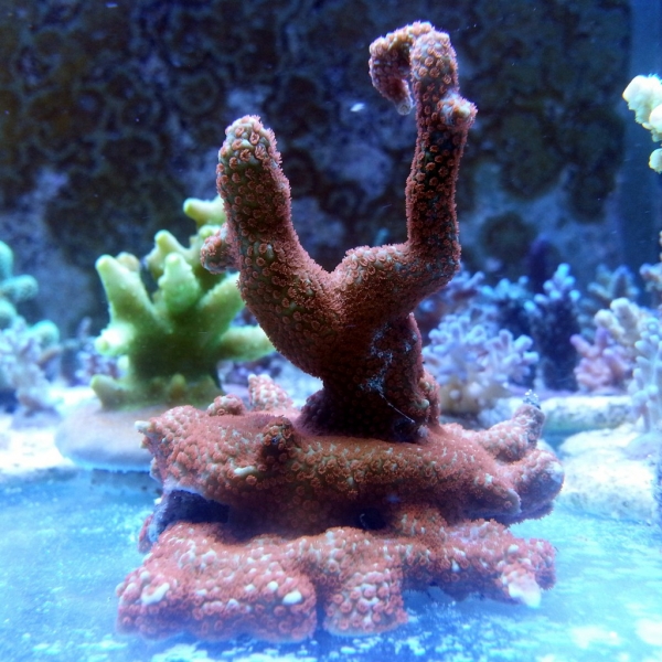 Image00014