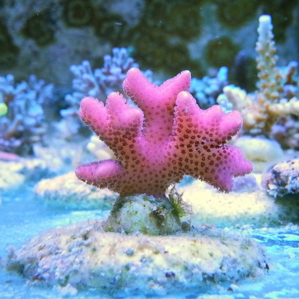 Image00019