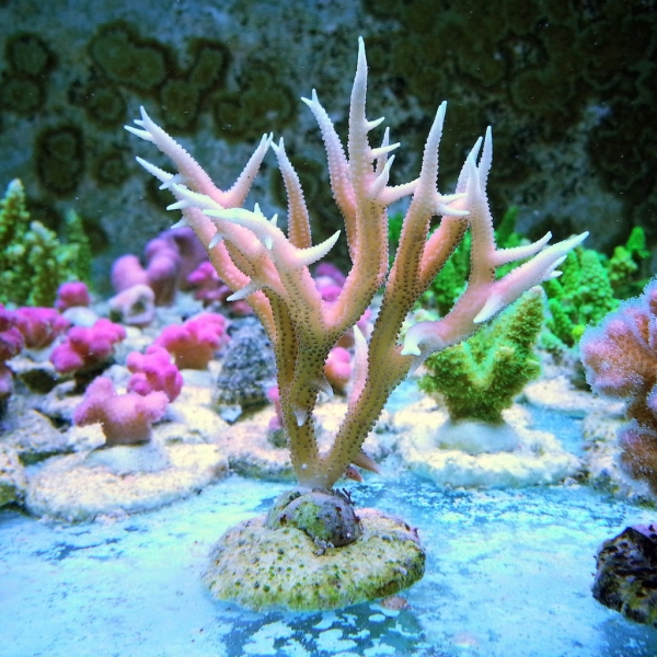 Image00022