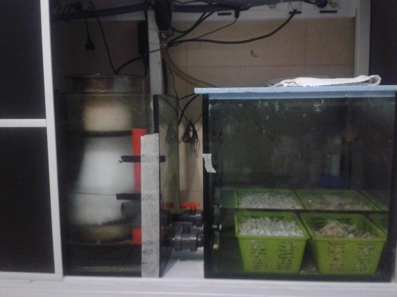 Sump com syporax