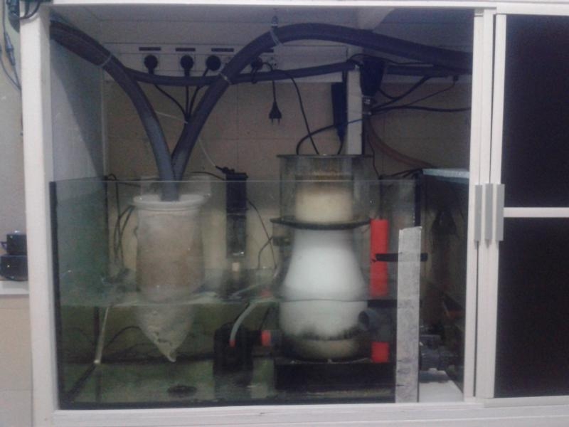 sump com escumador