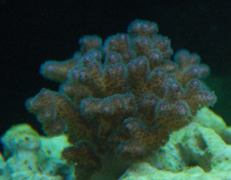 DSC 0179
