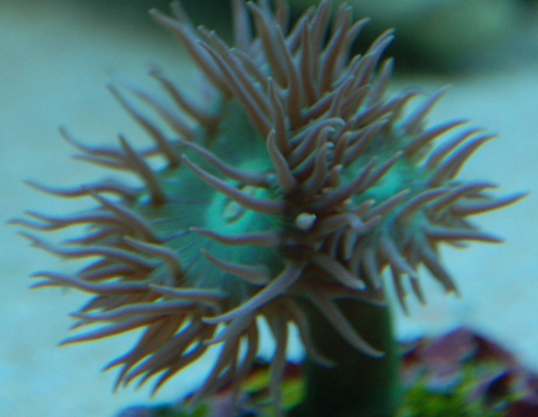DSC 0186