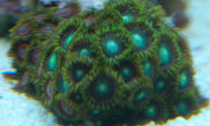 DSC 0188