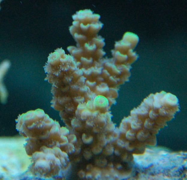 DSC 0191