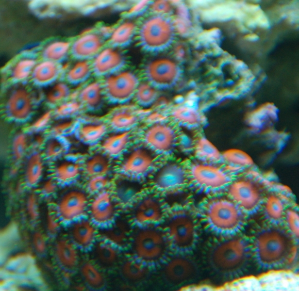 DSC 0180