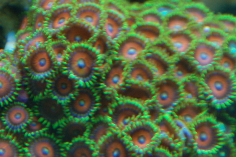 DSC 0179