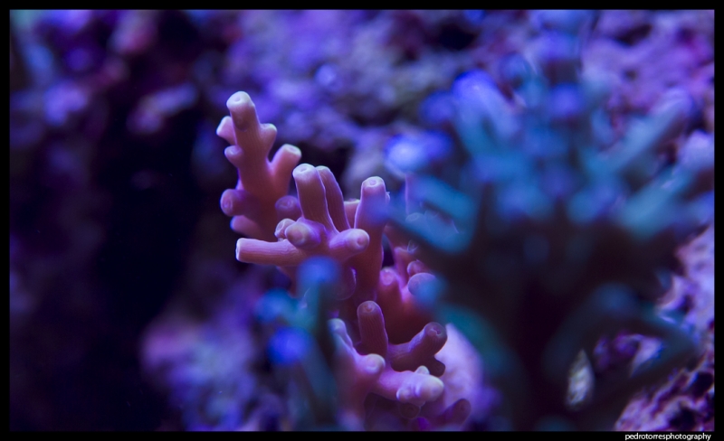 IMG 7742