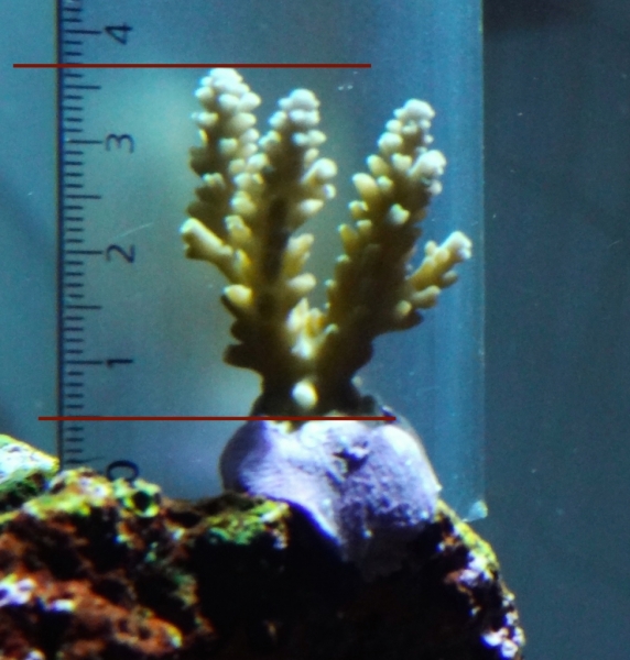 medição 15_11_2015