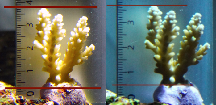 Novembro VS Dezembro