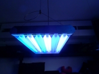 Comparação Leds T5 - 14-10-2012 - 2