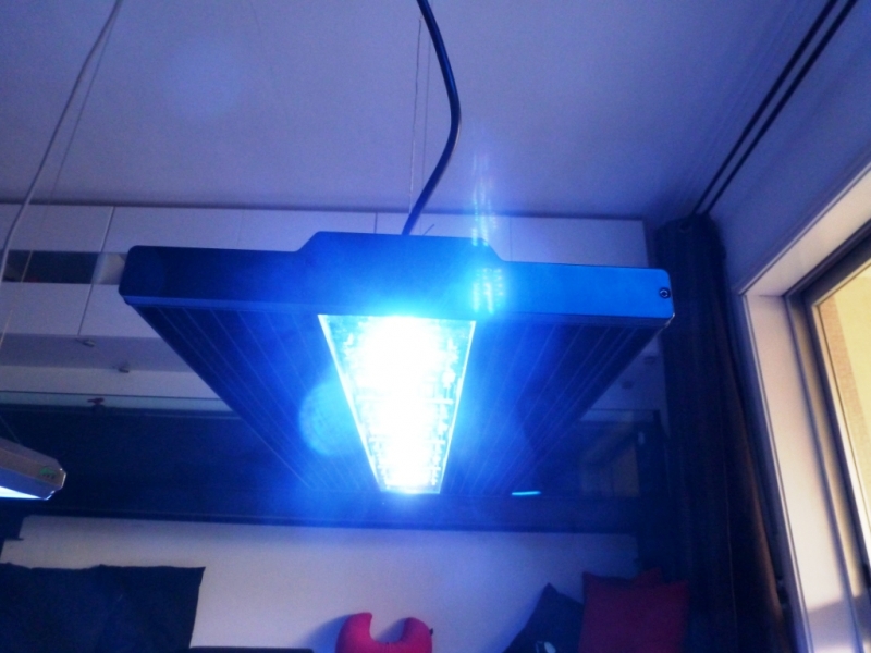 Comparação Leds T5 - 14-10-2012 - 3