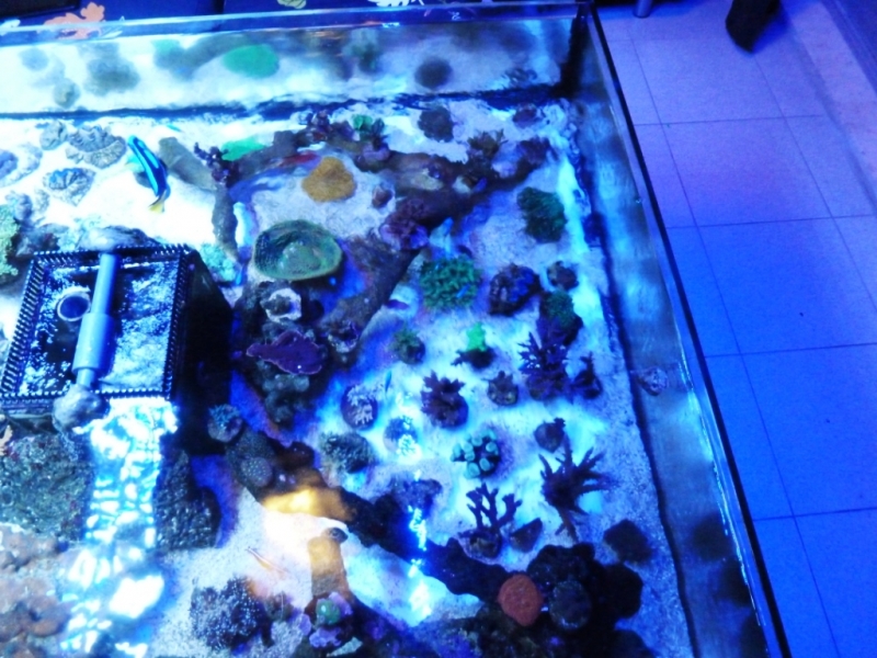 Lagoa da tranqulidade 23-09-2012