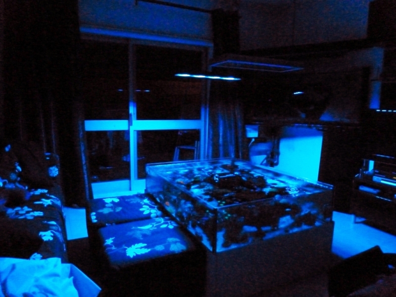 Lagoa da Tranquilidade 14 - 24-09-2012 sob luz azul vertex SR 600 - 260