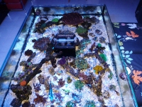 Lagoa da Tranquilidade 1 - 27-09-2012