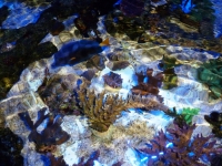 Lagoa da Tranquilidade 4 - 27-09-2012