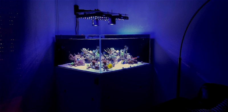 IMG 20160410 174716 (1)