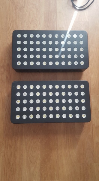 21979204 1466793753374859 850523705 n