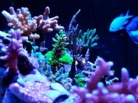 2013-06-22-18.57.33