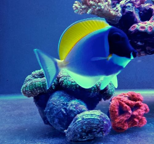 2014-12-23 11.35.21-2