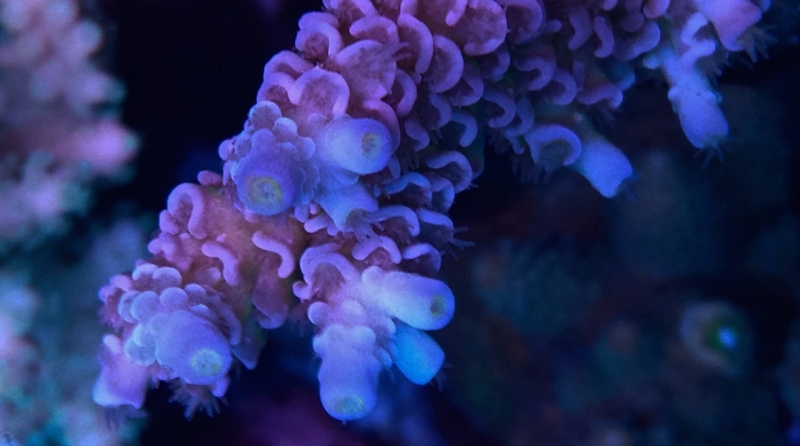 10571951 865066853539292 8562003441977225218 o