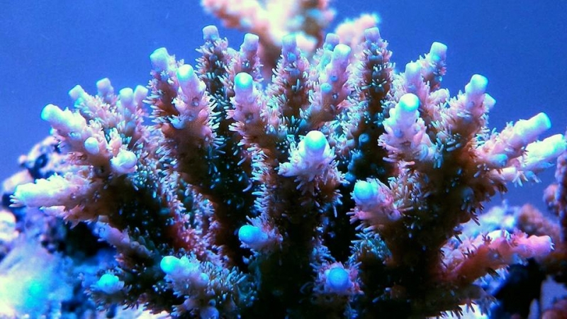 11016963 849627458416565 4114447265262152137 n