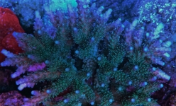 20150604 194213
