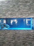 Decor5