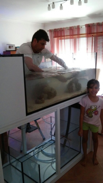 IMG-20160910-WA0006