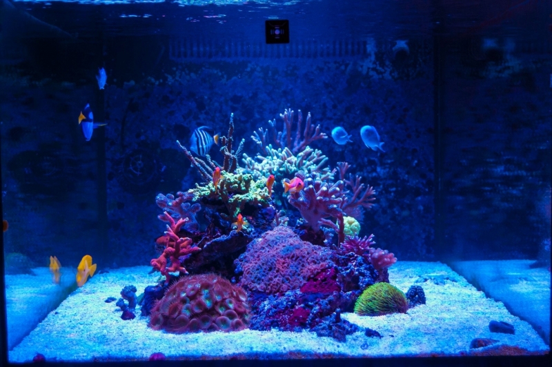 21742324 10213886932630092 1267058190 o