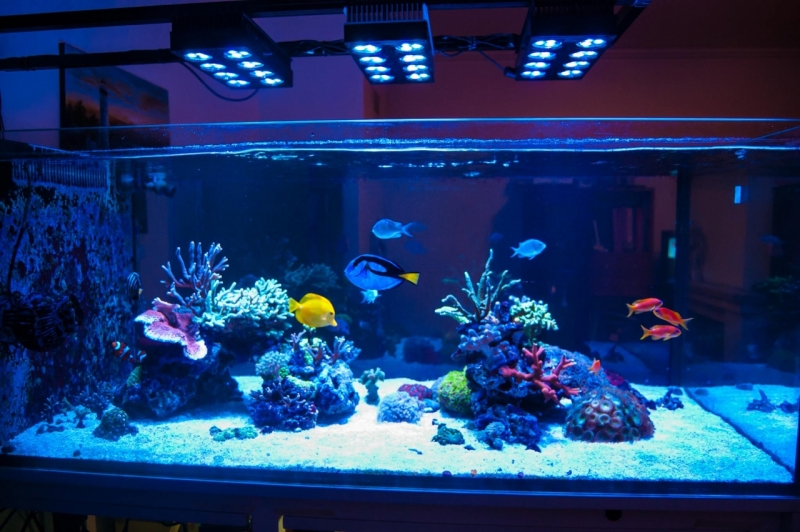 21755113 10213886932430087 392771364 o