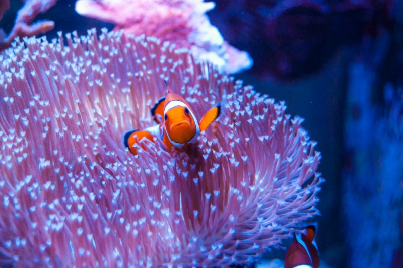 21754743 10213890822887346 759819633 o