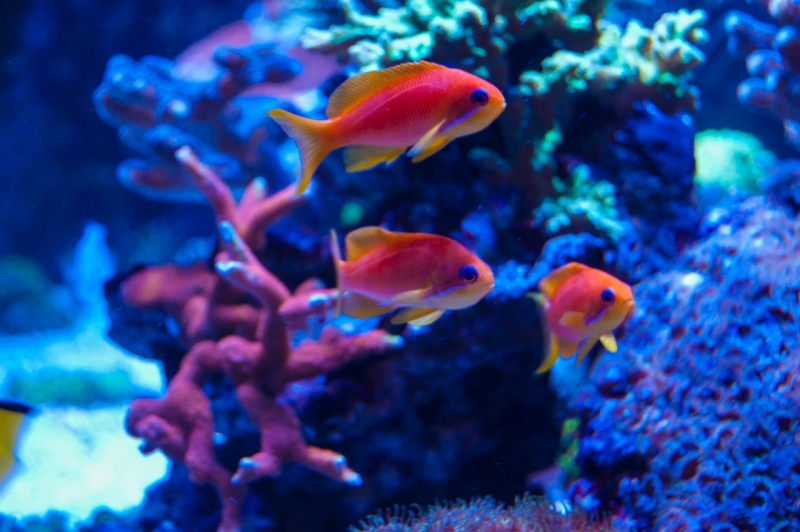 21742132 10213890822807344 1904860727 o