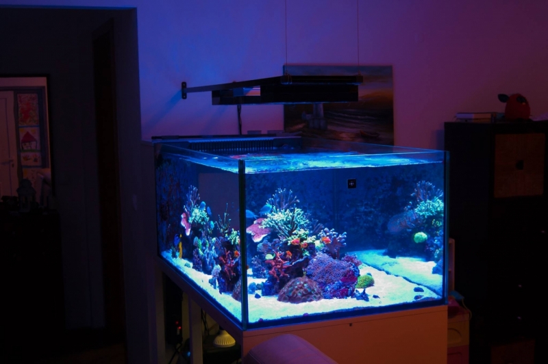 21733721 10213890834047625 57746749 o