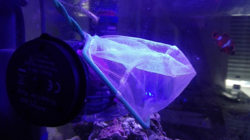 Bomba de circulaçao