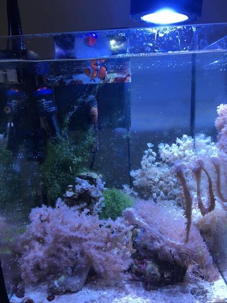 50138638 1124838894386612 2628906205791125504 n