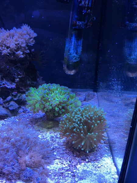 51408239 250911255639079 1911292933852626944 n