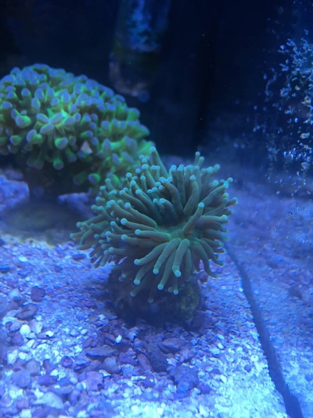 51223909 319602078898060 6384945845917188096 n