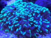11272017171143