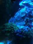fotografia 1(1)