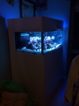IMG 4748