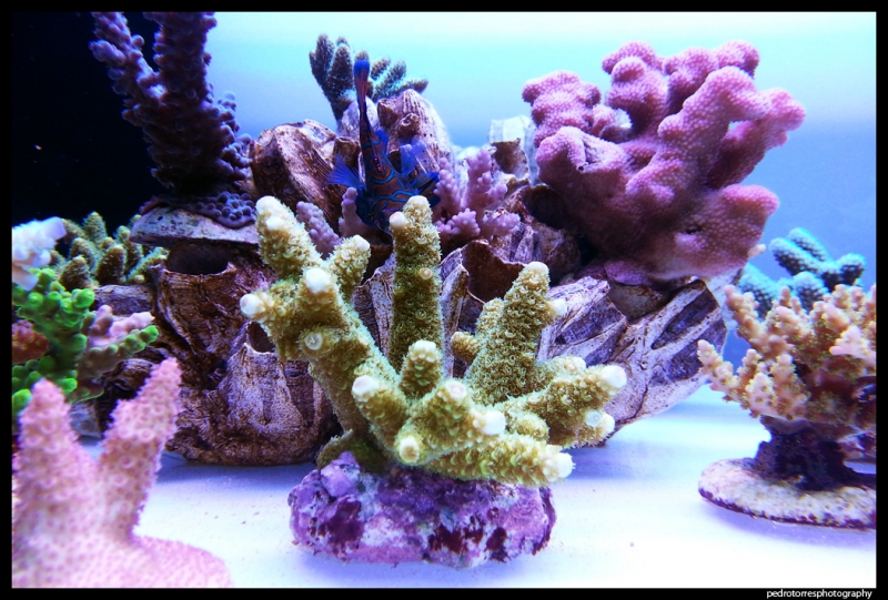 20121210 000738[1]