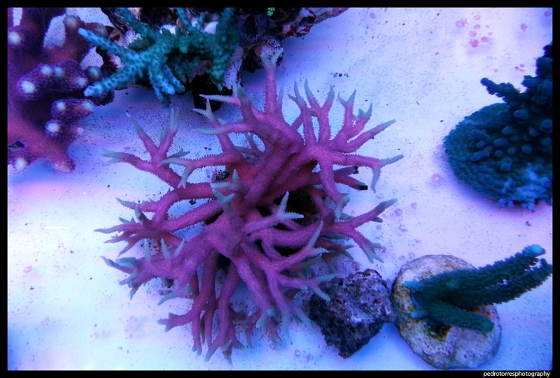 20130126 015210