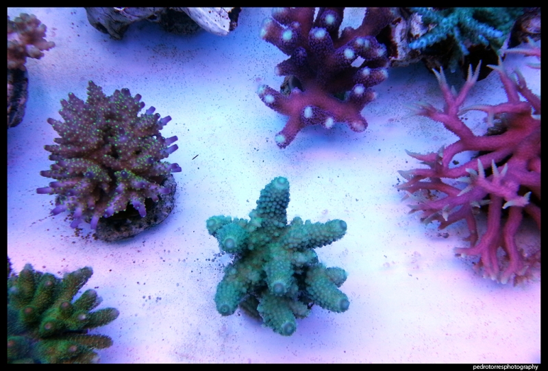 20130126 015241