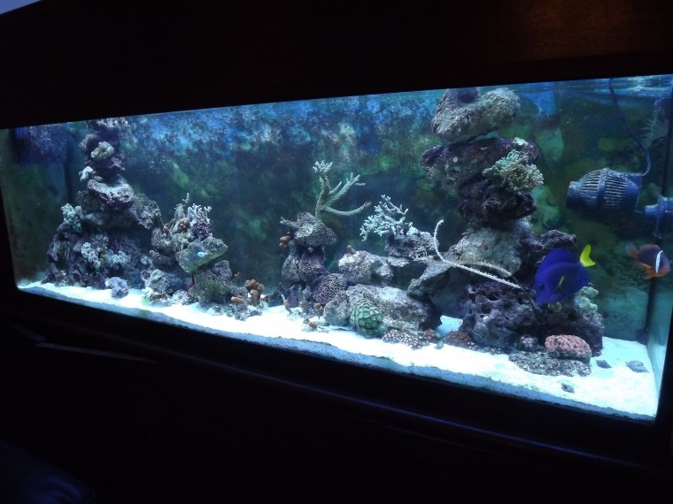 aqua casa