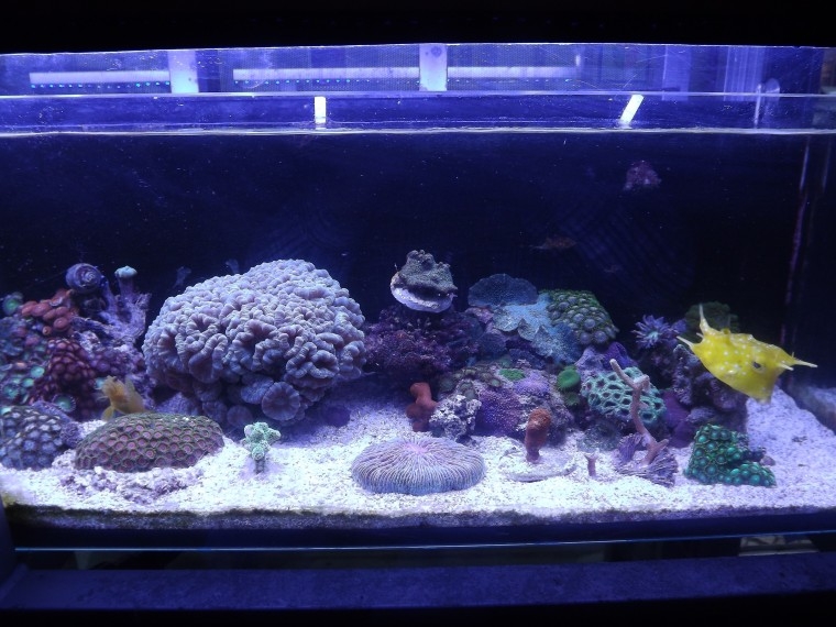 nano