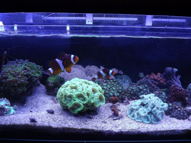 nano3