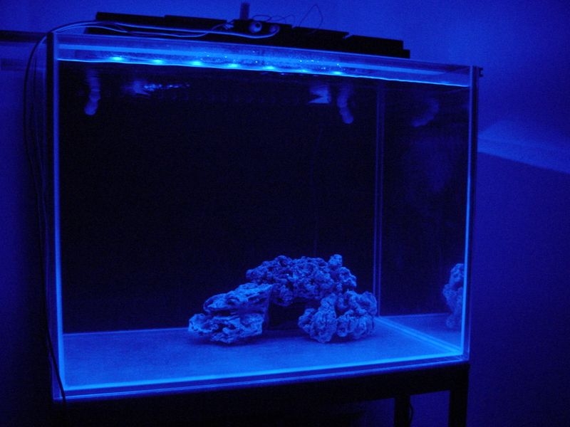 foco leds diy24