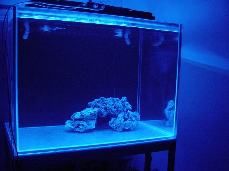 foco leds diy25